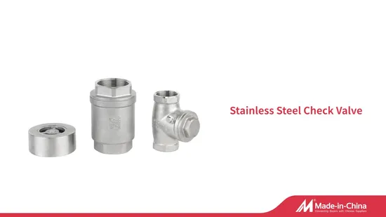  Xxnx/SS304/201/Stainless Steel/Industrial/H71W/Non Return/Duckbill/Lift/Fluid/Vacuum/Disc/Wafer/Single Plate/Flange/Spring/Swing/Check Valve